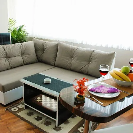 Luxury New *